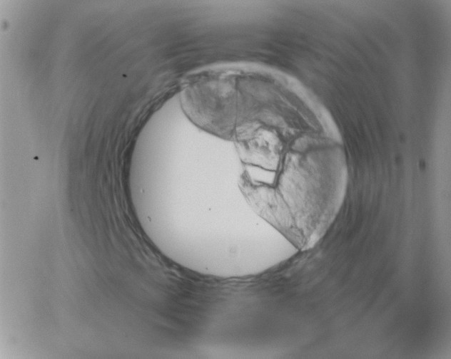 X0000062921393200602031910