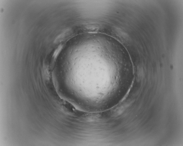 X0000062921394200602031910