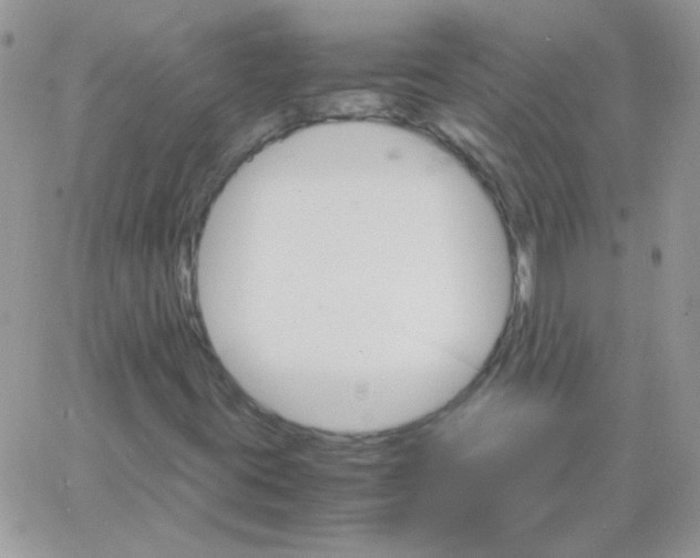 X0000062921395200602031910