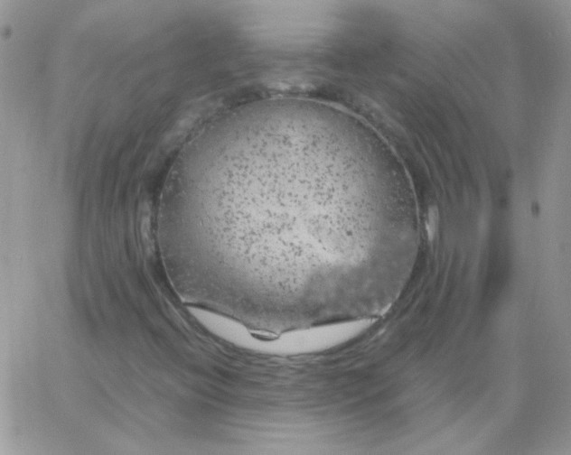 X0000062921396200602031910