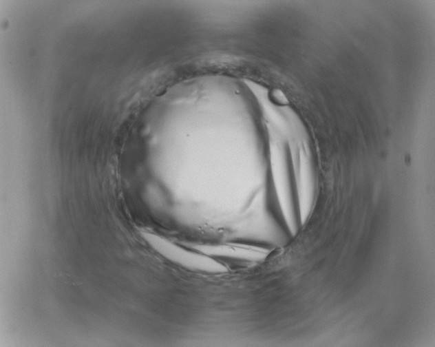 X0000062921397200602031910