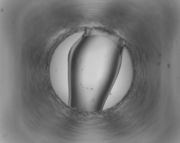 X0000062921398200602031910