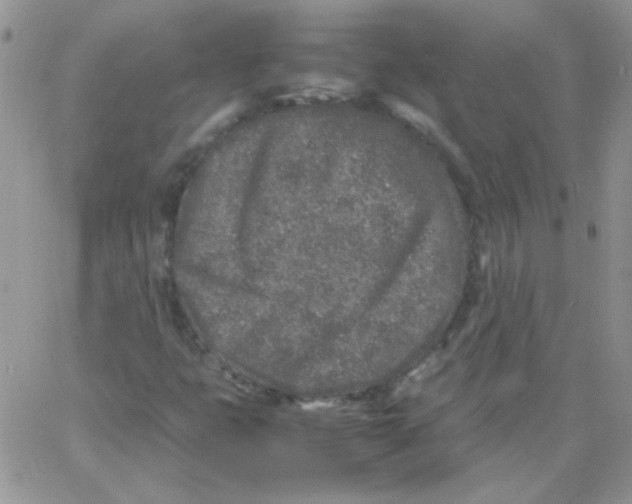 X0000062921399200602031910