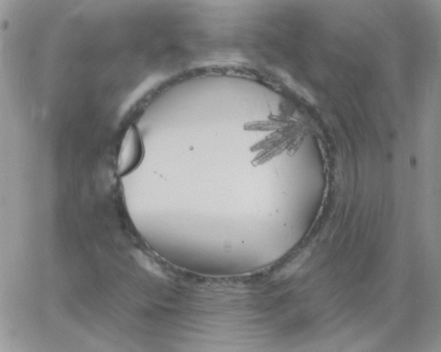 X0000062921400200602031910