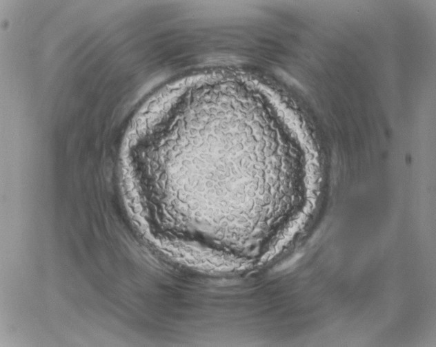 X0000062921401200602031910