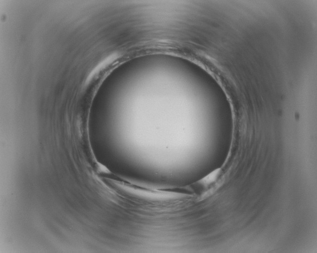 X0000062921402200602031910