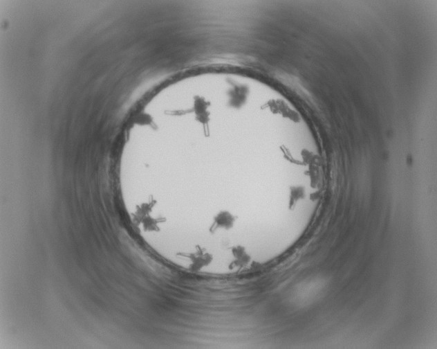 X0000062921404200602031910