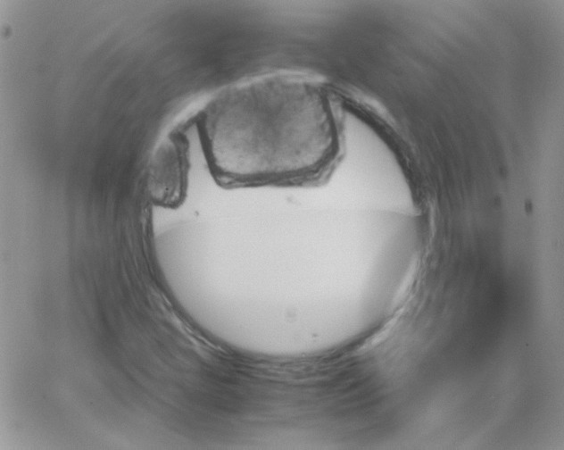 X0000062921405200602031910