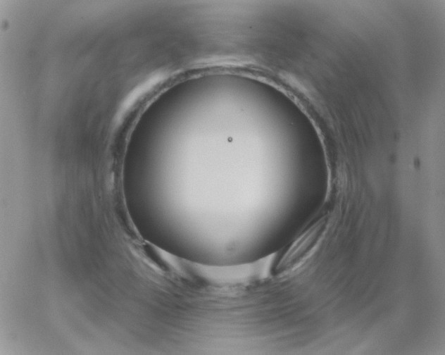 X0000062921406200602031910