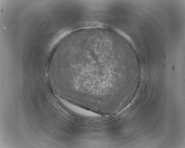 X0000062921407200602031910