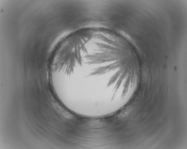 X0000062921408200602031910