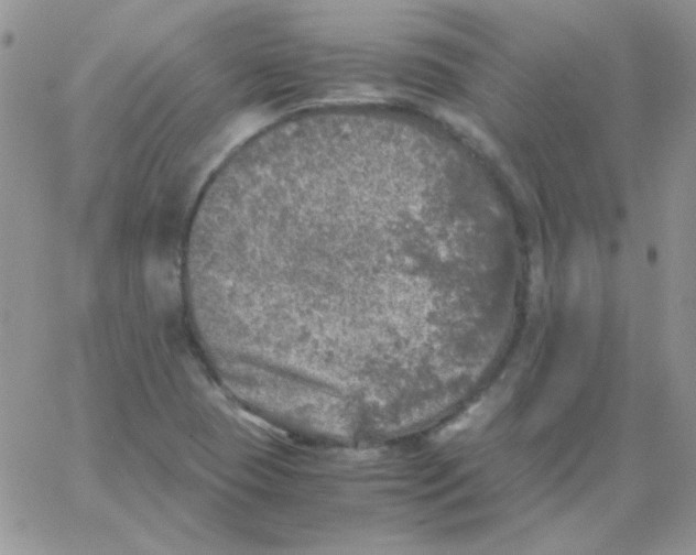 X0000062921409200602031910