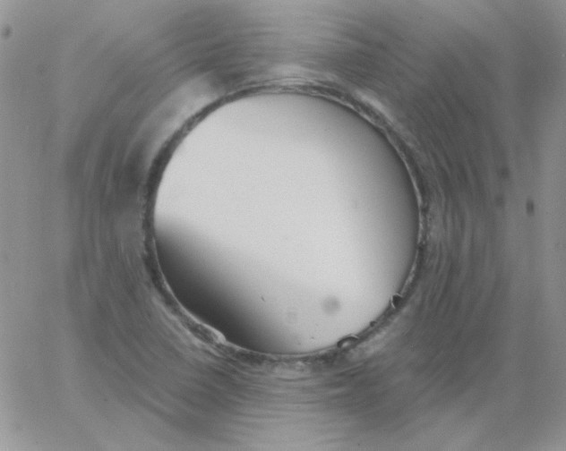 X0000062921410200602031910