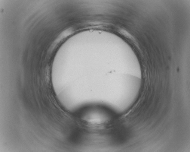 X0000062921411200602031910