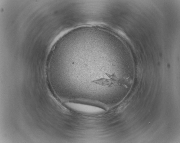 X0000062921412200602031910