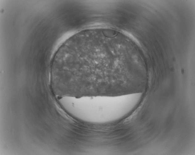 X0000062921413200602031910