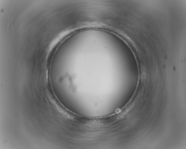 X0000062921414200602031910