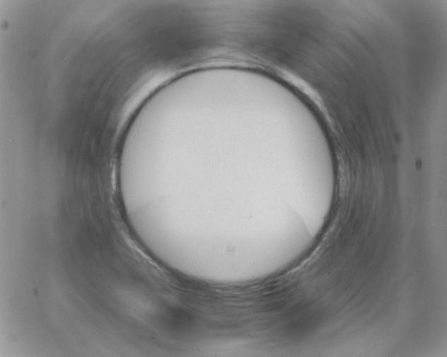 X0000062921415200602031910