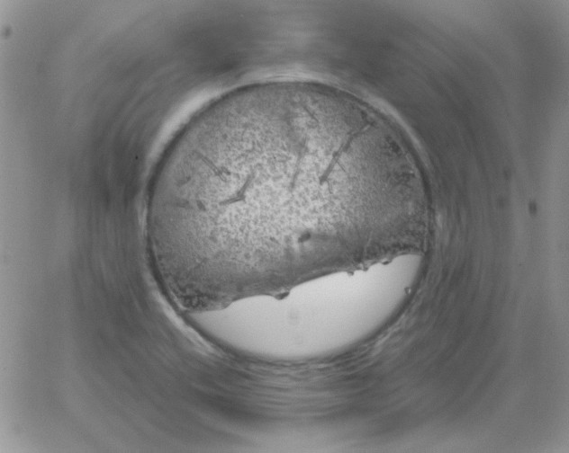 X0000062921416200602031910