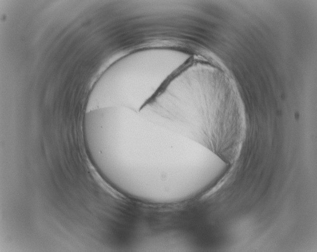 X0000062921417200602031910