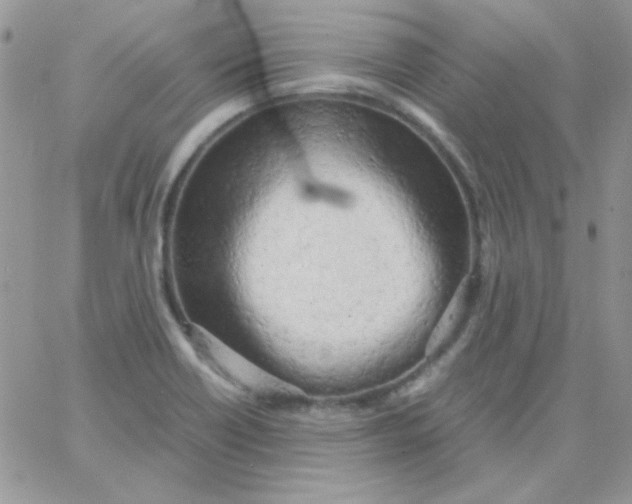 X0000062921418200602031910