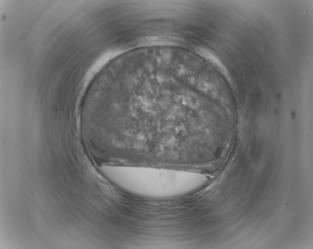 X0000062921419200602031910