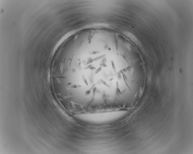 X0000062921420200602031910