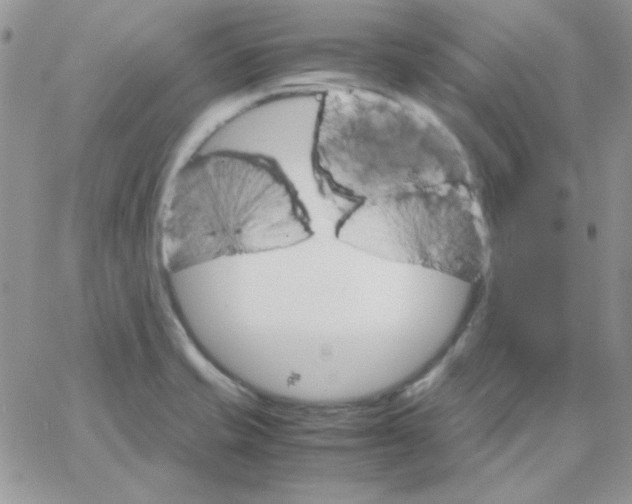 X0000062921421200602031910