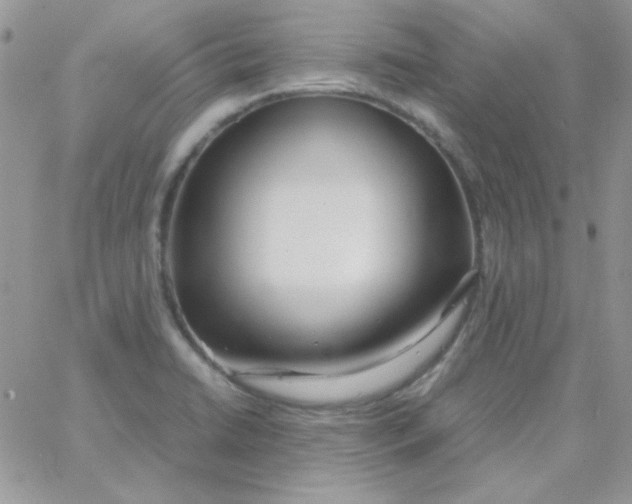 X0000062921422200602031910