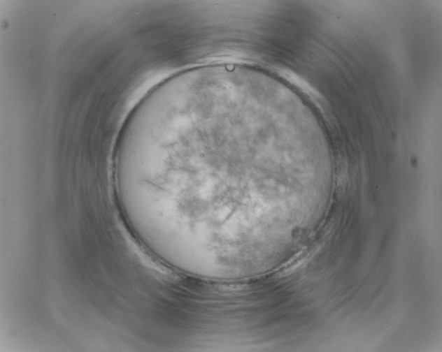 X0000062921423200602031910