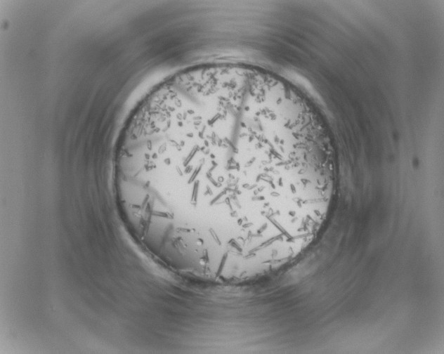 X0000062921424200602031911