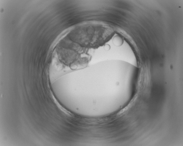 X0000062921425200602031911