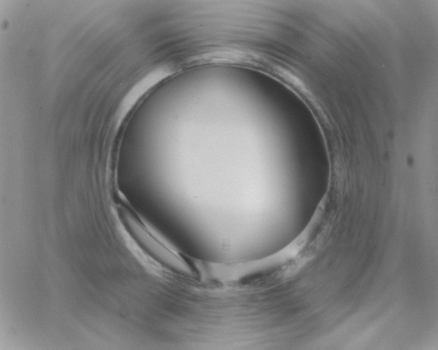 X0000062921426200602031911