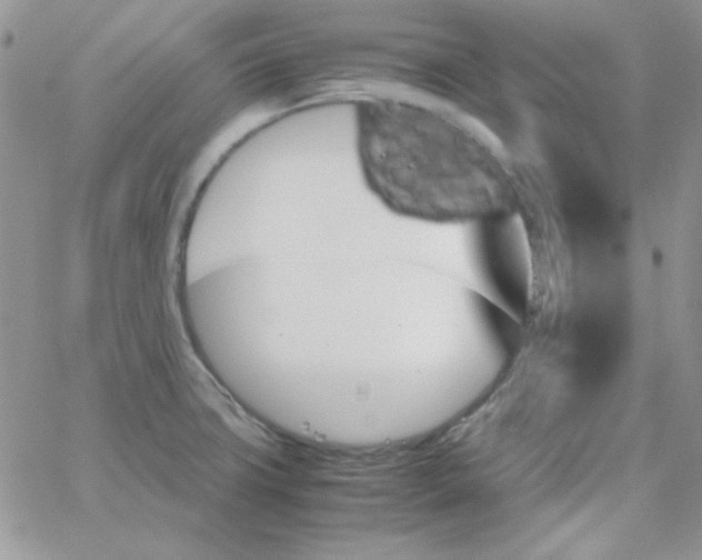 X0000062921427200602031911