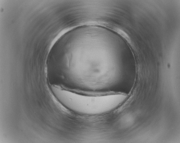 X0000062921428200602031911