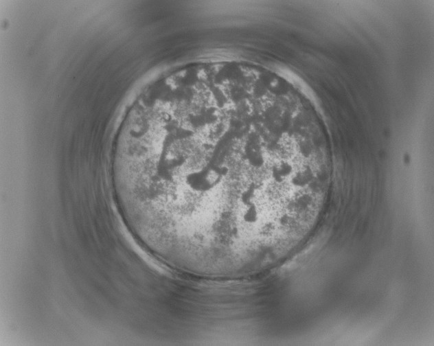 X0000062921429200602031911