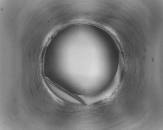 X0000062921430200602031911