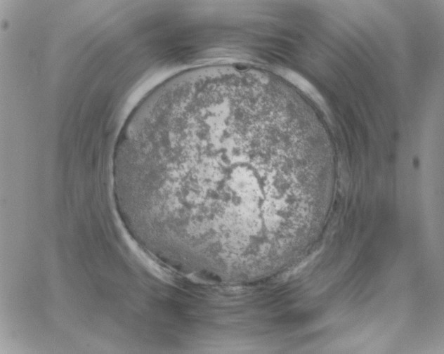 X0000062921431200602031911