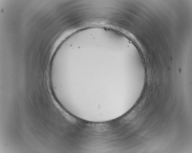 X0000062921432200602031911