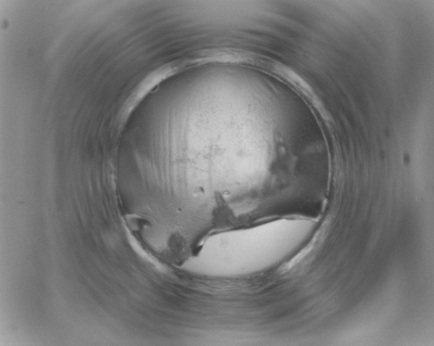 X0000062921433200602031911