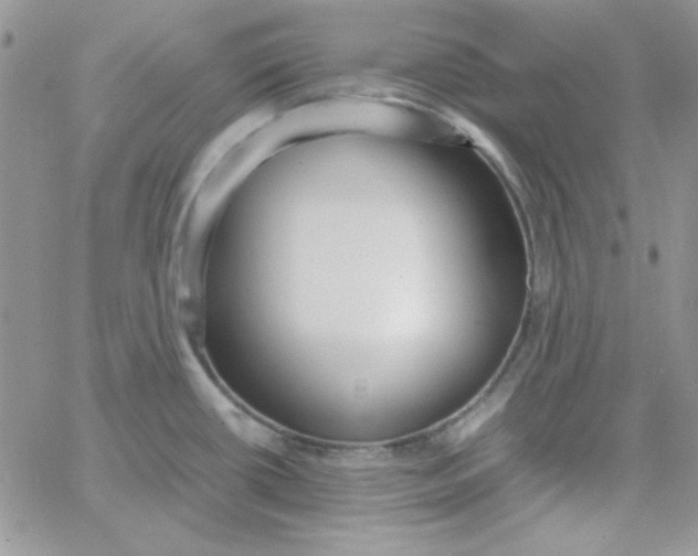 X0000062921434200602031911