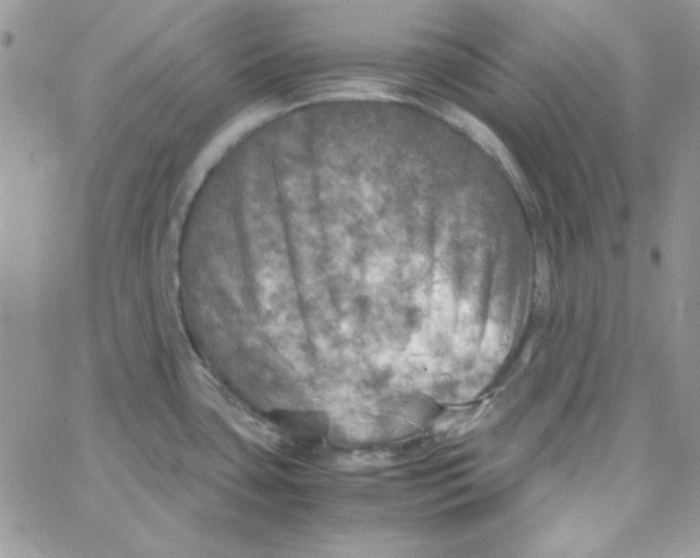 X0000062921435200602031911