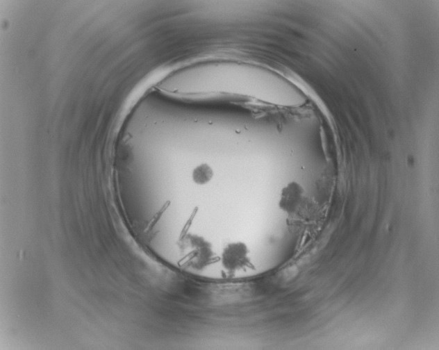 X0000062921437200602031911