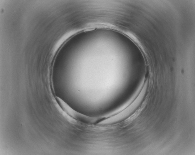 X0000062921438200602031911