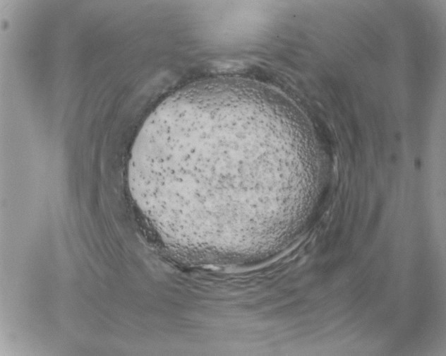 X0000062921441200602031910