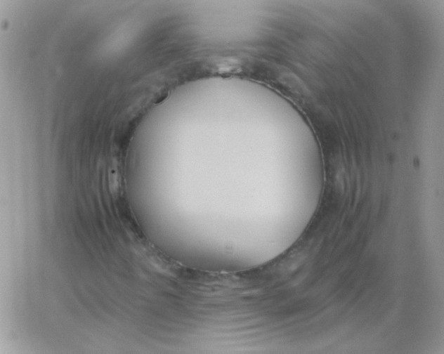 X0000062921442200602031910