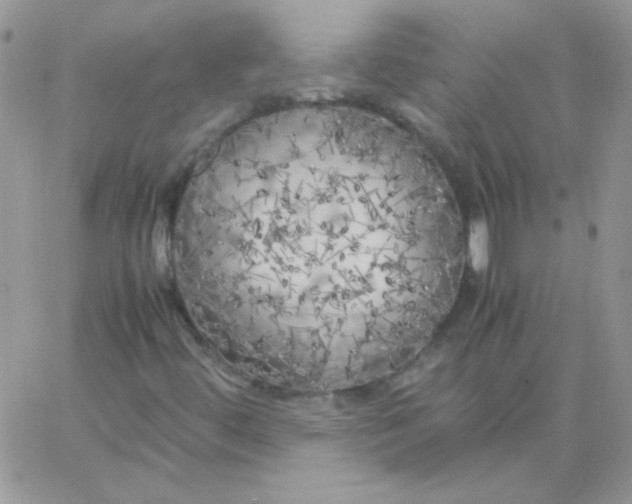 X0000062921444200602031910