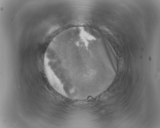 X0000062921446200602031910