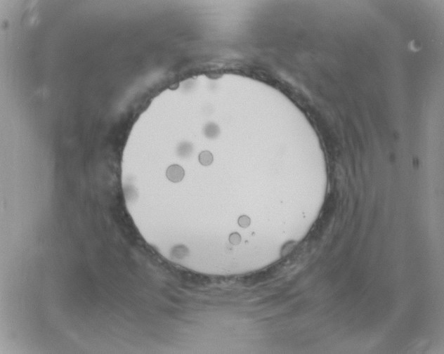 X0000062921447200602031910