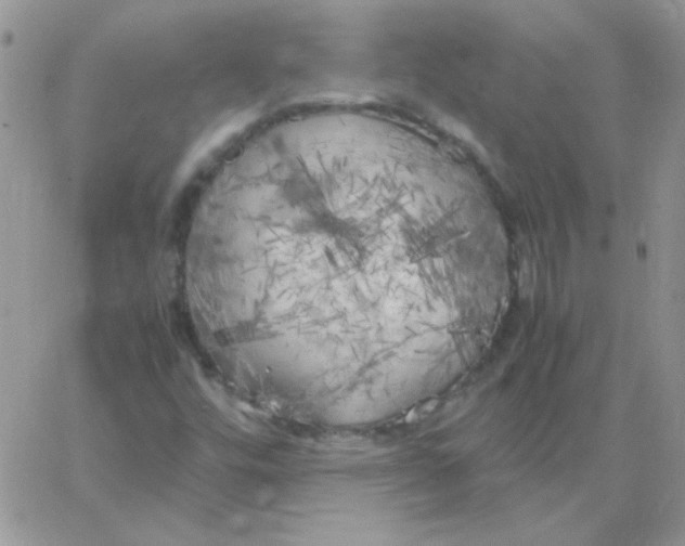 X0000062921448200602031910